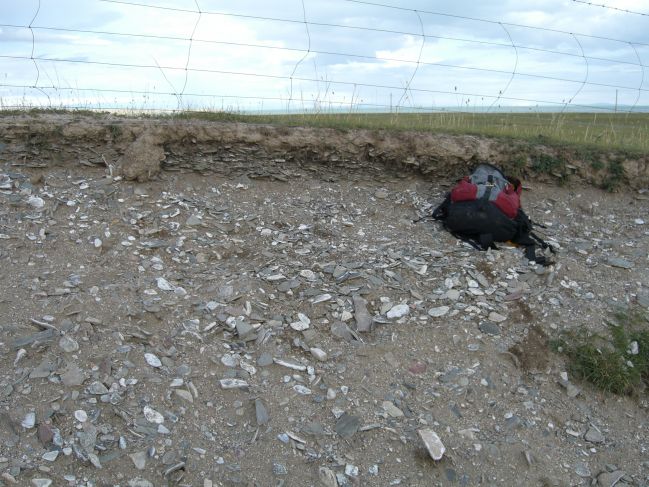  2006:09:04 06:05:46   Imbricaed Flat Pebble Conglomerate in Beach Ridge Deposit near 75km pit on West Side of Lake a.jpg